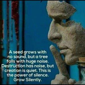 Meet your Posher, Sola